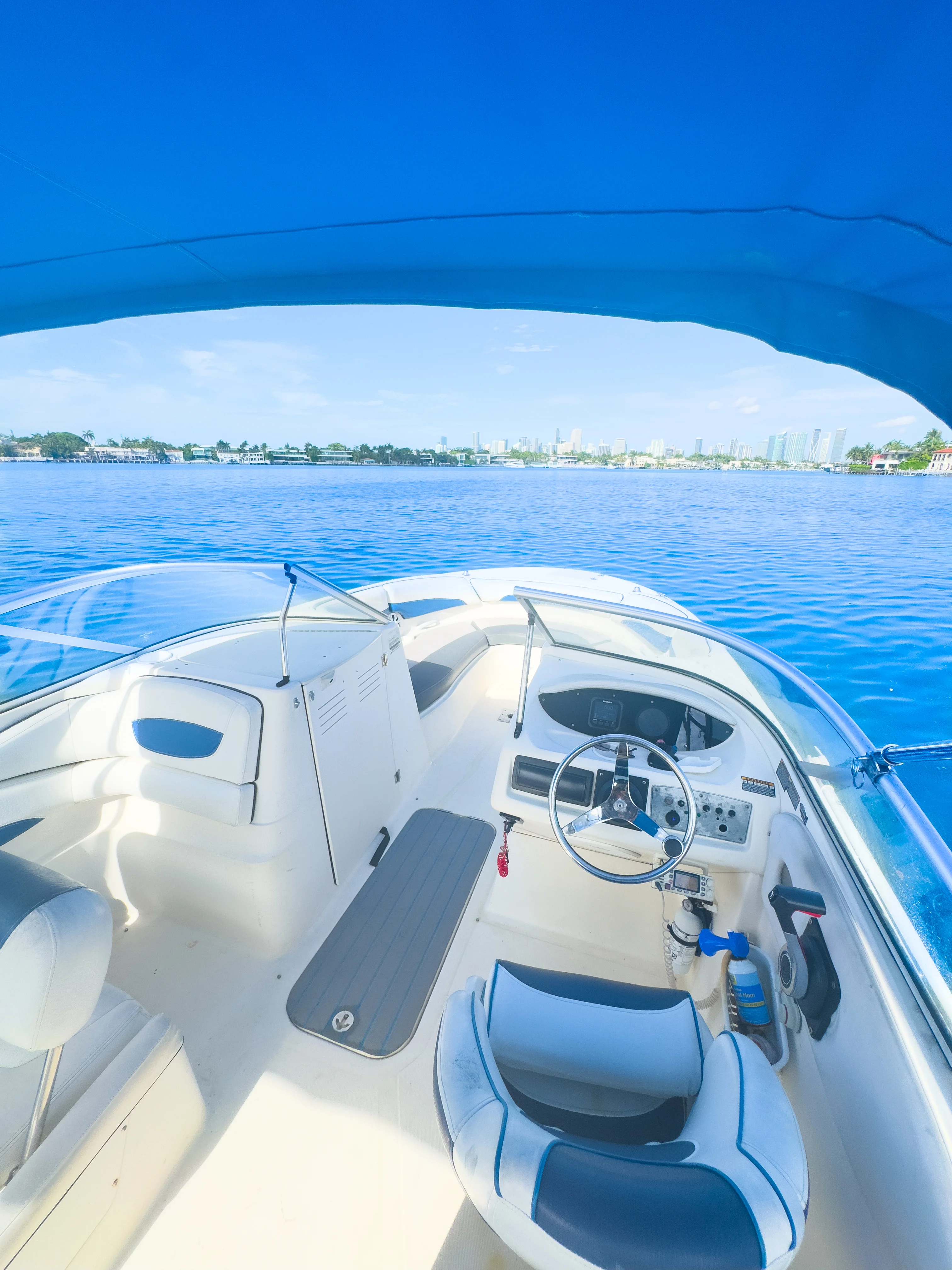 26ft Bayliner Max dashboard